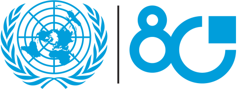 UN80 logo